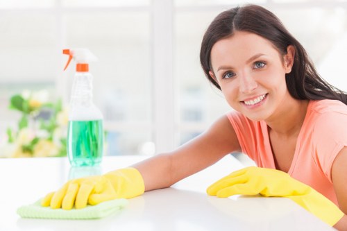 Local regular cleaning service in Ilford for busy homes and flats