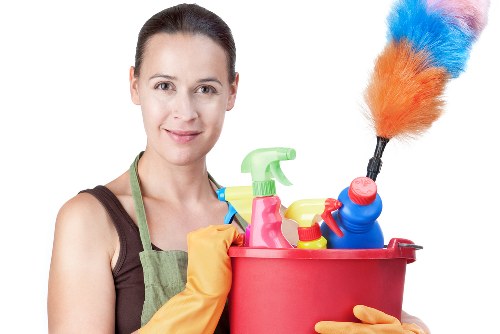 Invoice and payment terms for a cleaning appointment