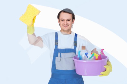 Professional cleaners providing domestic cleaning in Ilford