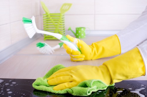 Careful exterior cleaning for residential façades in Ilford