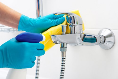 Gutter cleaning service for homes and businesses in Ilford