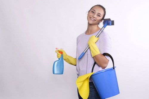 Rug cleaning process for Ilford homes and businesses