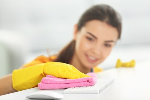Pre-occupancy cleaning for a flat in Ilford