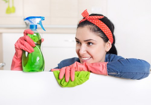 Professional cleaning of kitchen surfaces before moving into a property