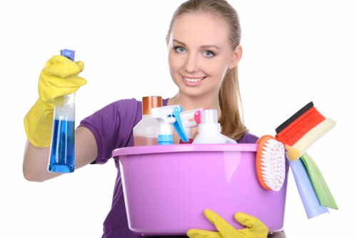 Domestic cleaning tasks including kitchen and bathroom care