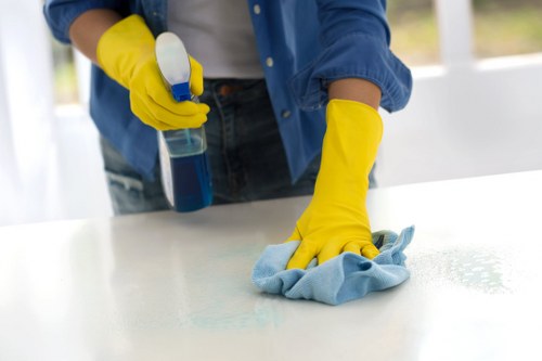 Detailed kitchen appliance cleaning for a rental property in Ilford