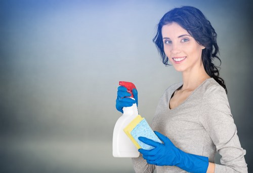 Clearing leaves and debris from a blocked gutter system