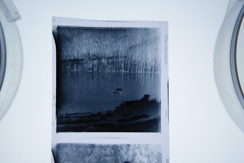 A black-and-white photograph of a natural landscape featuring a calm body of water, with a line of leafless trees along the shoreline and a cloudy sky above, printed on photographic paper with visible margins and labels. The photograph is positioned on a white surface, with two washing machines partially visible on either side, indicating a laundry or cleaning area. The lighting highlights the reflective quality of the water and the textured appearance of the clouds and trees. The scene presents a serene, undisturbed outdoor environment, emphasizing clarity and detail suitable for professional cleaning or surface maintenance documentation. The image showcases the importance of careful handling and presentation of printed photographs during cleaning and preservation processes, aligning with services provided by Cleaners Ilford for maintaining hygiene and surface quality.